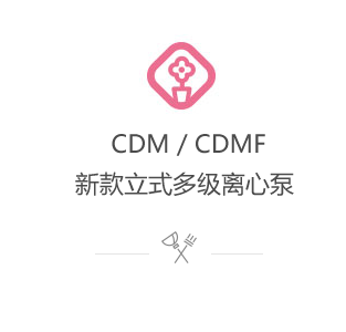 CDM/CDMF新款立式多级离心泵