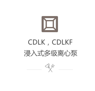 CDLK，CDLKF浸入式多级离心泵